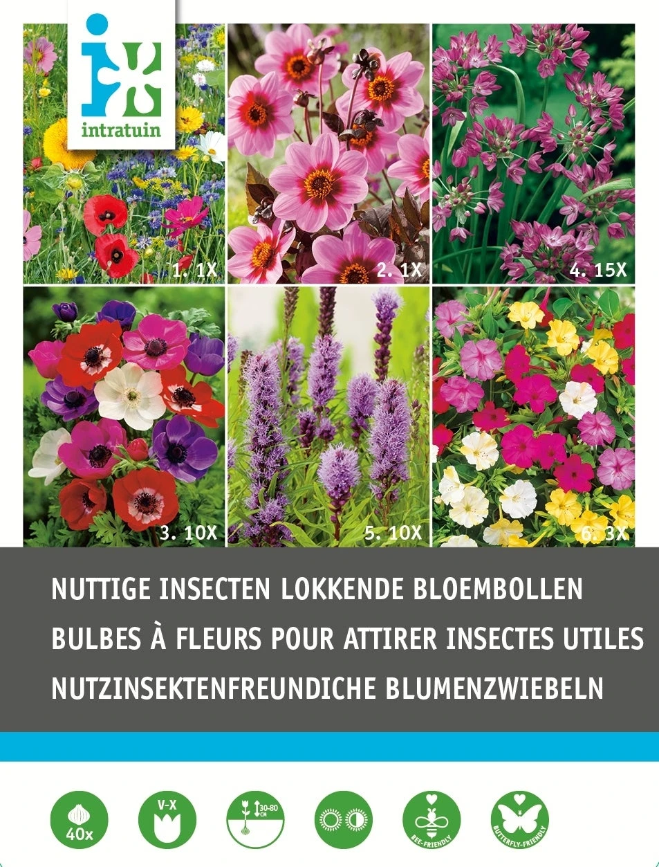 Intratuin Bloembollen Nuttige Bloemen 40 Stuks 1 Intratuin Bloembollen Nuttige Bloemen 40 Stuks