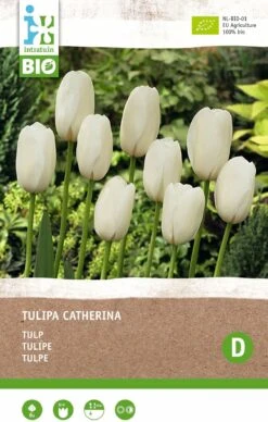 Intratuin Biologische Bloembollen Tulp (Tulipa 'Catherina') 6 Stuks 5 Intratuin Biologische Bloembollen Tulp (Tulipa 'Catherina') 6 Stuks -Elho || ESSCHERT DESIGN || Nature Winkel 8717263786535 2