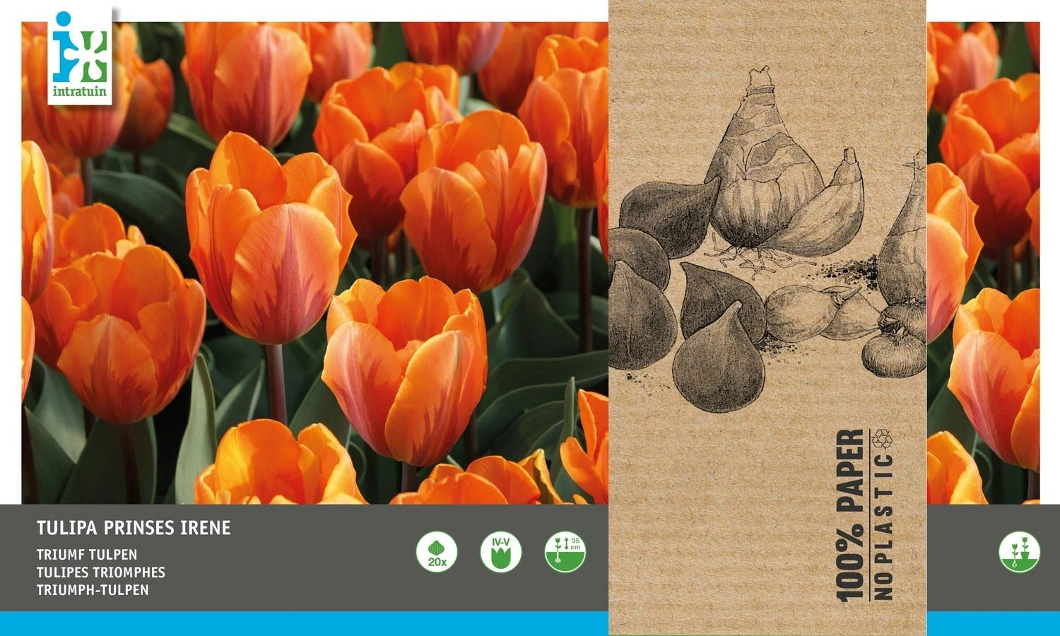 Intratuin Bloembollen Tulp (Tulipa 'Prinses Irene') 20 Stuks 1 Intratuin Bloembollen Tulp (Tulipa 'Prinses Irene') 20 Stuks