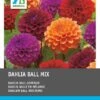 Intratuin Dahlia Bolbloeiende Knol (Dahlia) 3 Stuks