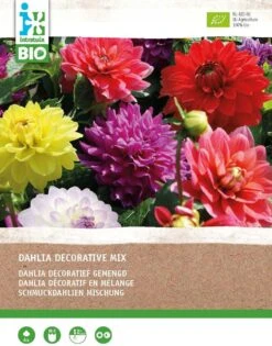 Intratuin Biologische Dahlia Knol (Dahlia) Gemengd 4 Stuks