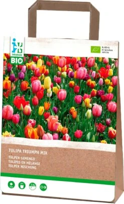 Intratuin Biologische Bloembollen Tulp (Tulipa 'Triumph') Gemengd 15 Stuks