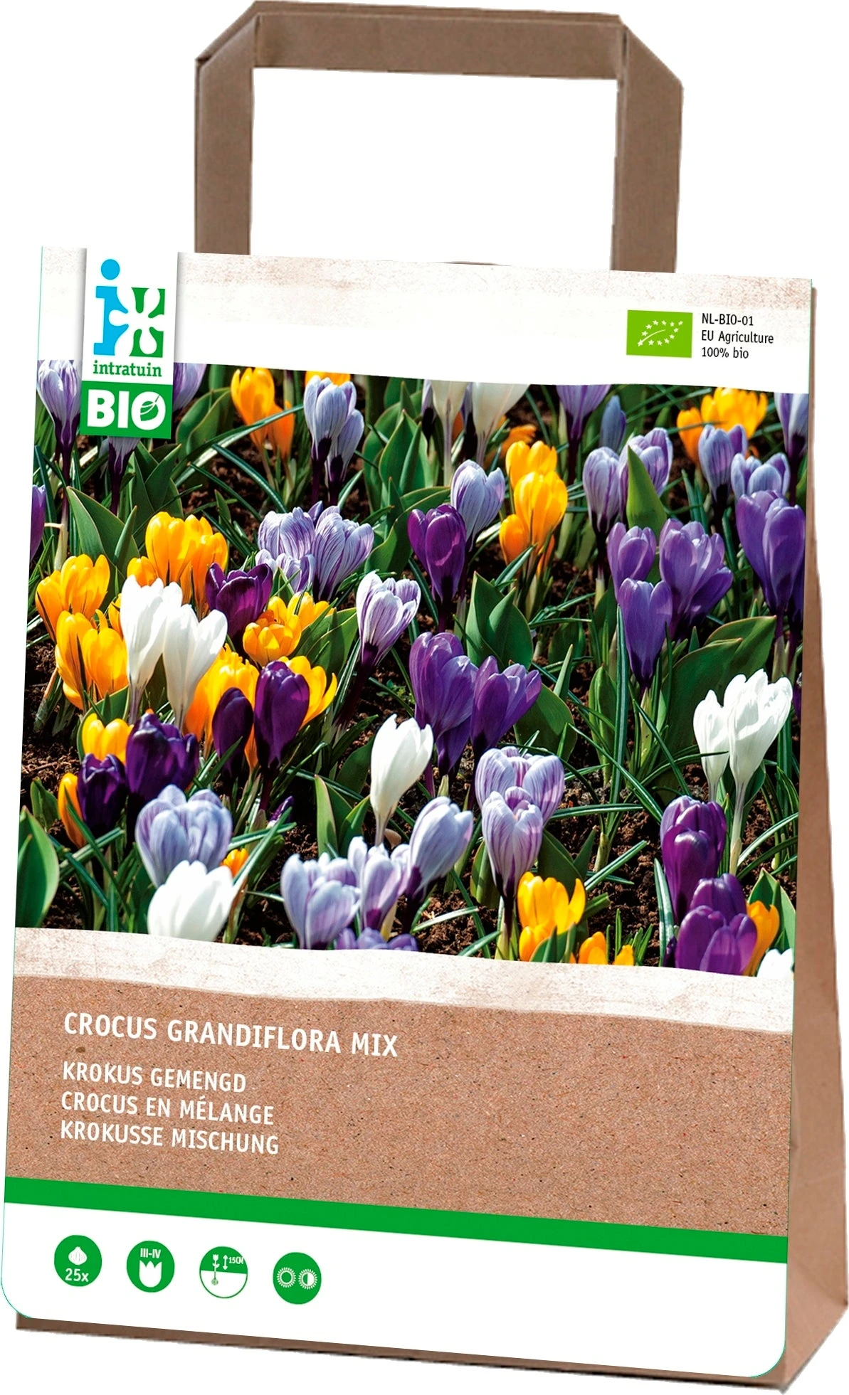 Intratuin Biologische Bloembollen Krokus (Crocus Grandiflora) Gemengd 25 Stuks 1 Intratuin Biologische Bloembollen Krokus (Crocus Grandiflora) Gemengd 25 Stuks