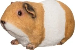 Intratuin Tuinbeeld Cavia Bruin / Wit 21,5 X 11 X 10,5 Cm