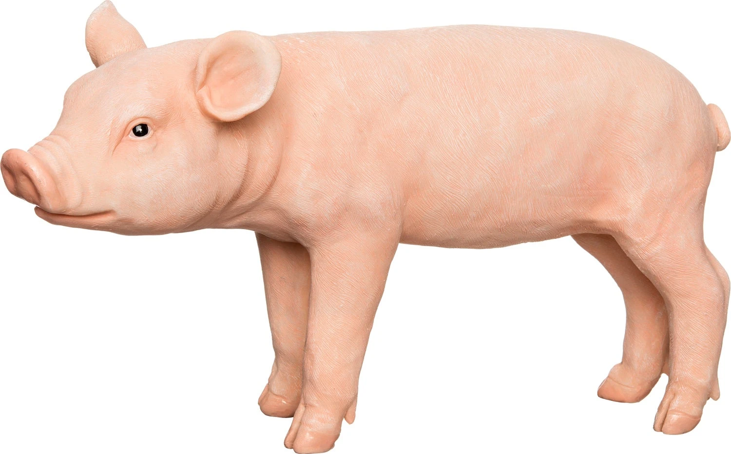 Intratuin Tuinbeeld Varken Roze 40,3 X 12 X 22 Cm 1 Intratuin Tuinbeeld Varken Roze 40,3 X 12 X 22 Cm