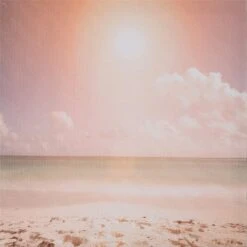 Intratuin Buitenschilderij Strand 50 X 50 Cm