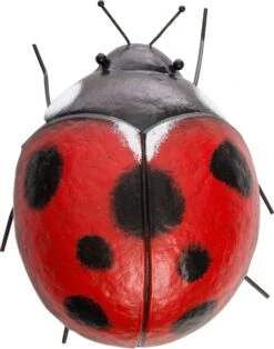 Intratuin Tuinbeeld Lieveheersbeestje Rood / Zwart 24 X 22 X 13 Cm