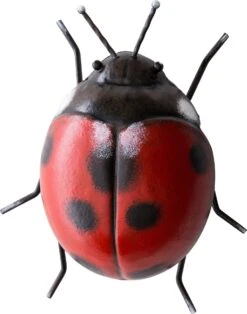 Intratuin Tuinbeeld Lieveheersbeestje Rood / Zwart 16 X 14 X 6,5 Cm