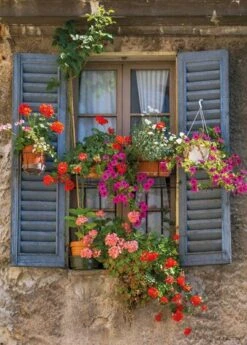 PB-Collection Schilderij Shutters Multi 50 X 70 X 2 Cm