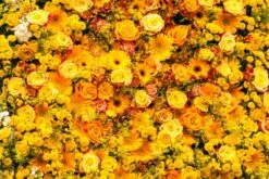 PB-Collection Tuinschilderij Bloemen Geel 50 X 2 X 70 Cm