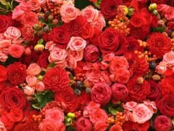 PB-Collection Tuinschilderij Bloemen Rood 50 X 2 X 70 Cm