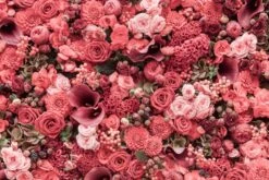 PB-Collection Tuinschilderij Bloemen Roze 50 X 2 X 70 Cm