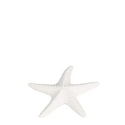 Mica Decorations Tuinbeeld Zeester Wit D 15 H 1,5 Cm