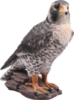 Farmwood Tuinbeeld Roofvogel Grijs 23 X 13 X 26 Cm
