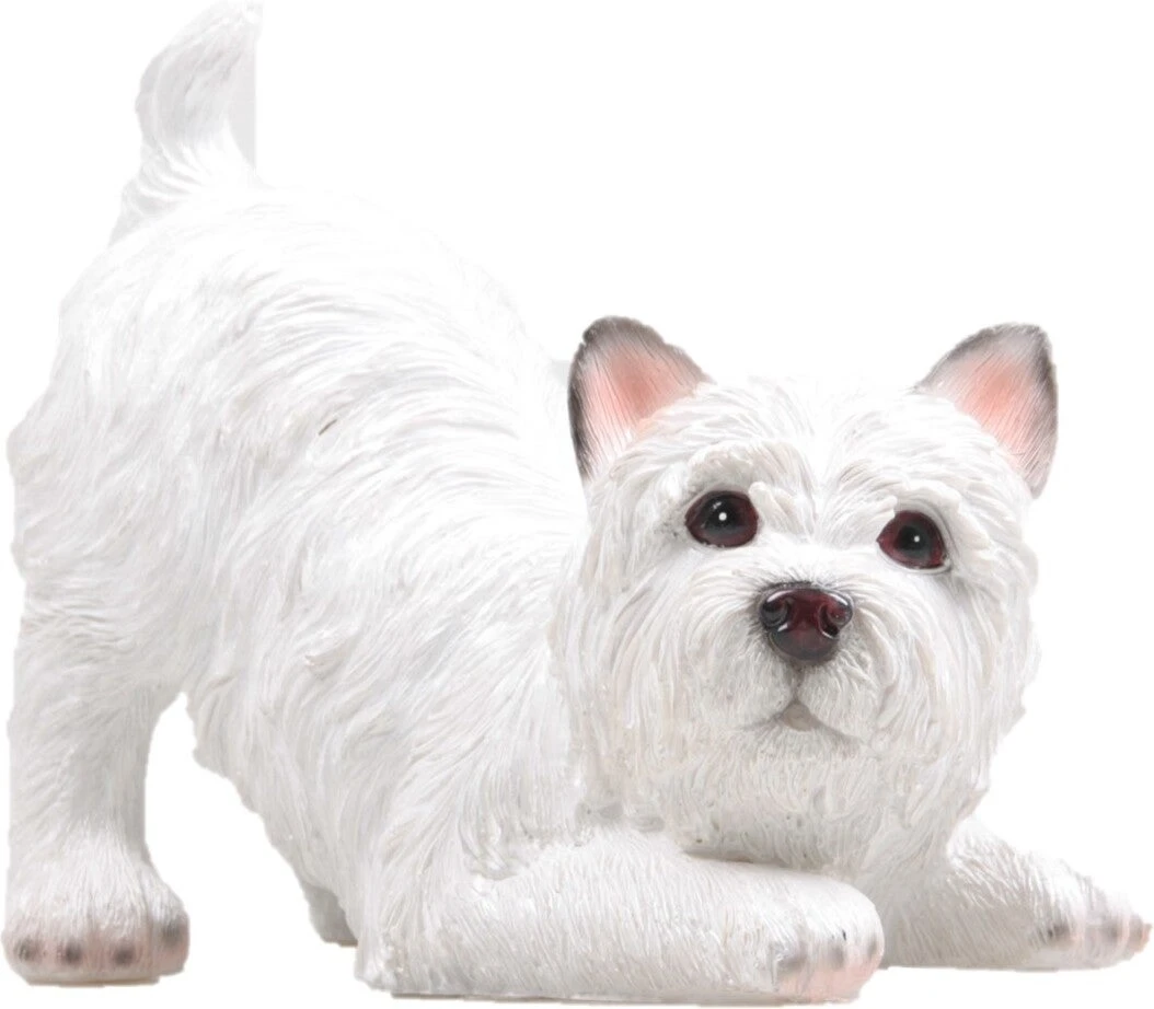 Farmwood Tuinbeeld West Highland Puppie Renee Wit 22 X 9 X 17 Cm 1 Farmwood Tuinbeeld West Highland Puppie Renee Wit 22 X 9 X 17 Cm