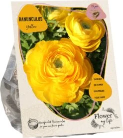 Baltus Flower My Life Ranonkel Knol (Ranunculus) Geel 15 Stuks