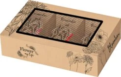 Baltus Bloombox Flower My Life Ranonkel Knol (Ranunculus) 15 Stuks