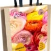 Baltus Cadeautas Flower My Life Ranonkel Knol (Ranunculus Specials) 15 Stuks