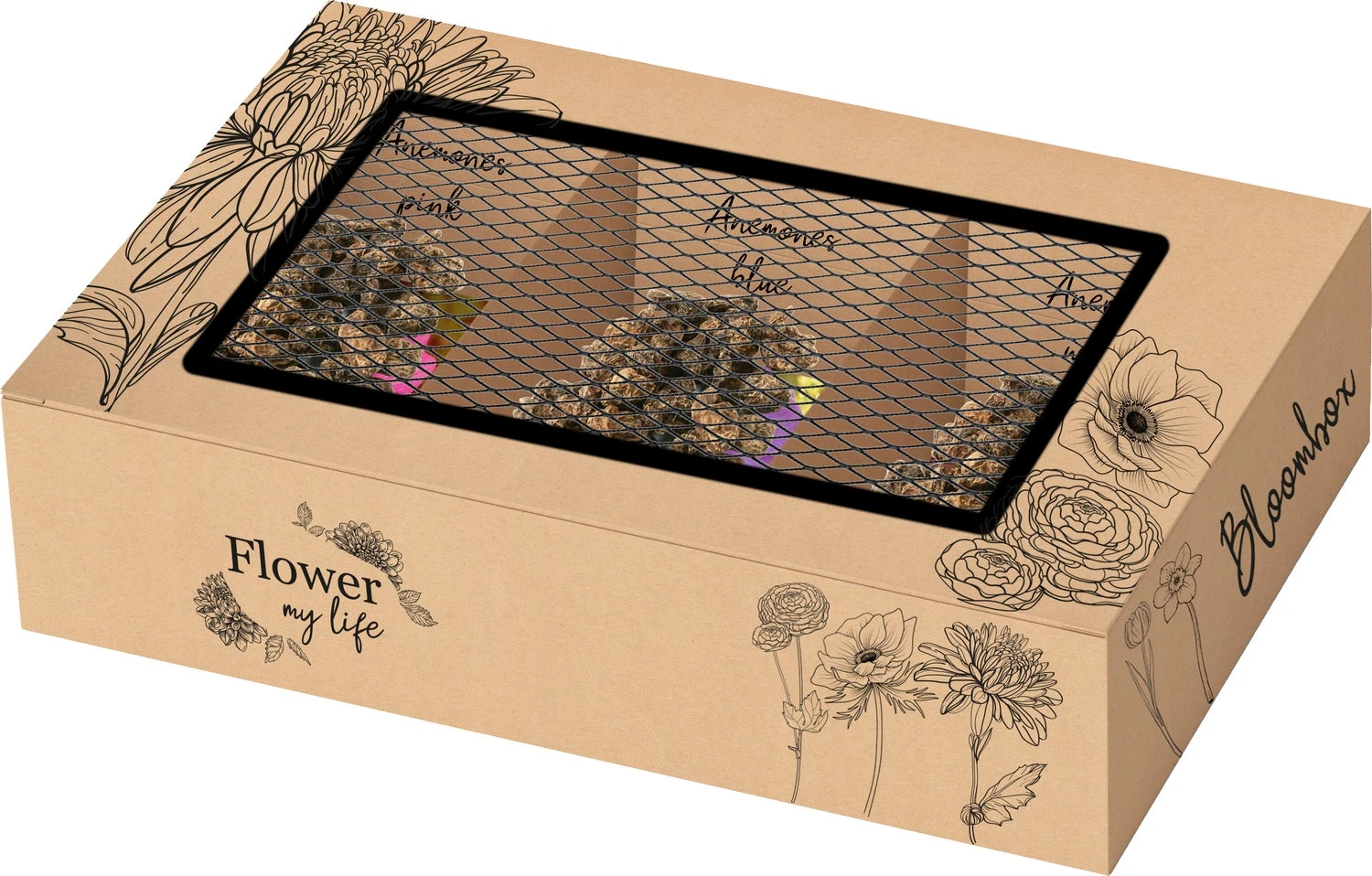 Baltus Bloombox Flower My Life Anemoon Knol (Anemone) 45 Stuks 1 Baltus Bloombox Flower My Life Anemoon Knol (Anemone) 45 Stuks