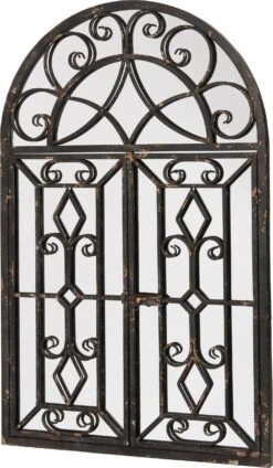 Intratuin Tuinspiegel Zwart 126,4 X 80 X 3,8 Cm