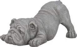 Intratuin Tuinbeeld Hond Grijs 45 X 27,5 X 22 Cm