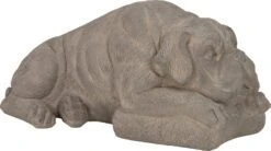 Intratuin Tuinbeeld Hond Slapend Grijs 60 X 32 X 28 Cm