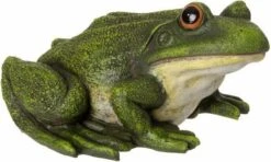 Intratuin Tuinbeeld Kikker Gert Groen 19 X 16 X 10 Cm