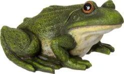 Intratuin Tuinbeeld Kikker Gert Groen 27 X 25 X 11,5 Cm