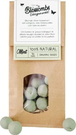 Blossombs Papieren Zak Zaadbommen Mint 10 Stuks