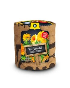 Baza Keukentuintje Biologische Goudsbloem (Calendula Officinalis)