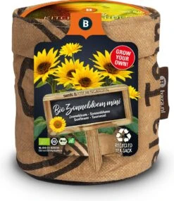 Baza Keukentuintjebiologische Zonnebloem Mini (Helianthus)