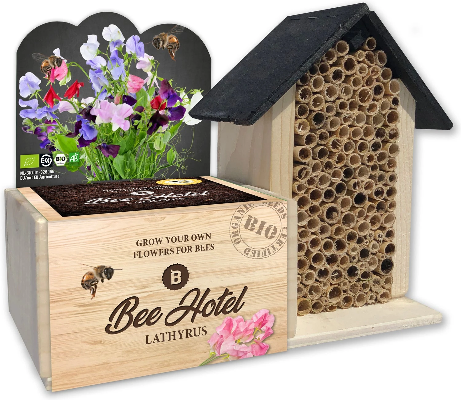 Baza Bee Hotel Biologische Prachtboon (Lathyrus) Met Insectenhotel 1 Baza Bee Hotel Biologische Prachtboon (Lathyrus) Met Insectenhotel